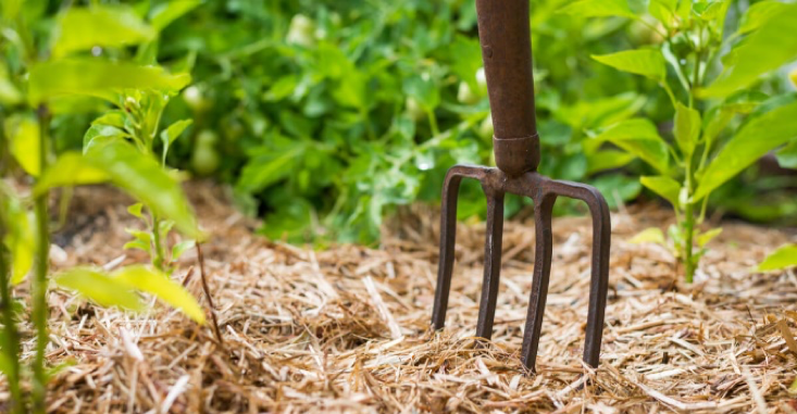 POUR L’AUTONOMIE ALIMENTAIRE EN FRANCE