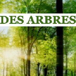 SEMONS DES ARBRES