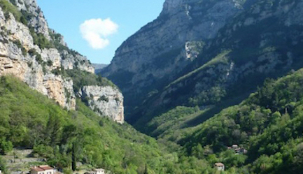 LES JARDINS DU LOUP