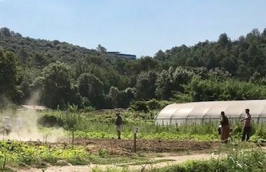 LES JARDINS DE LA VALLÉE DE LA SIAGNE