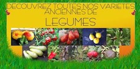 LE POTAGER DE SANTE